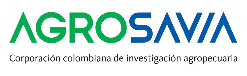 Aliado y colaborador 6