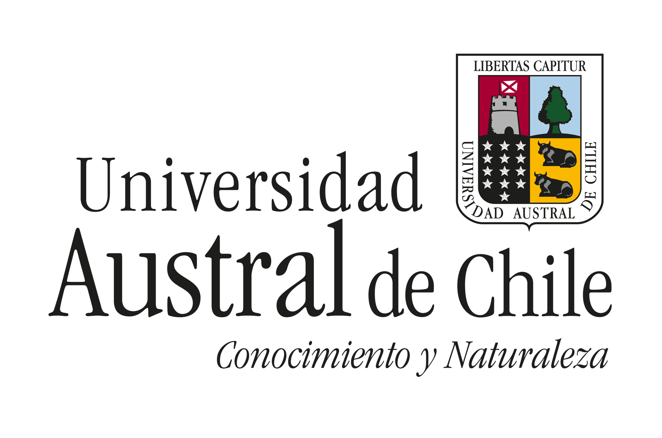 Aliado y colaborador 3